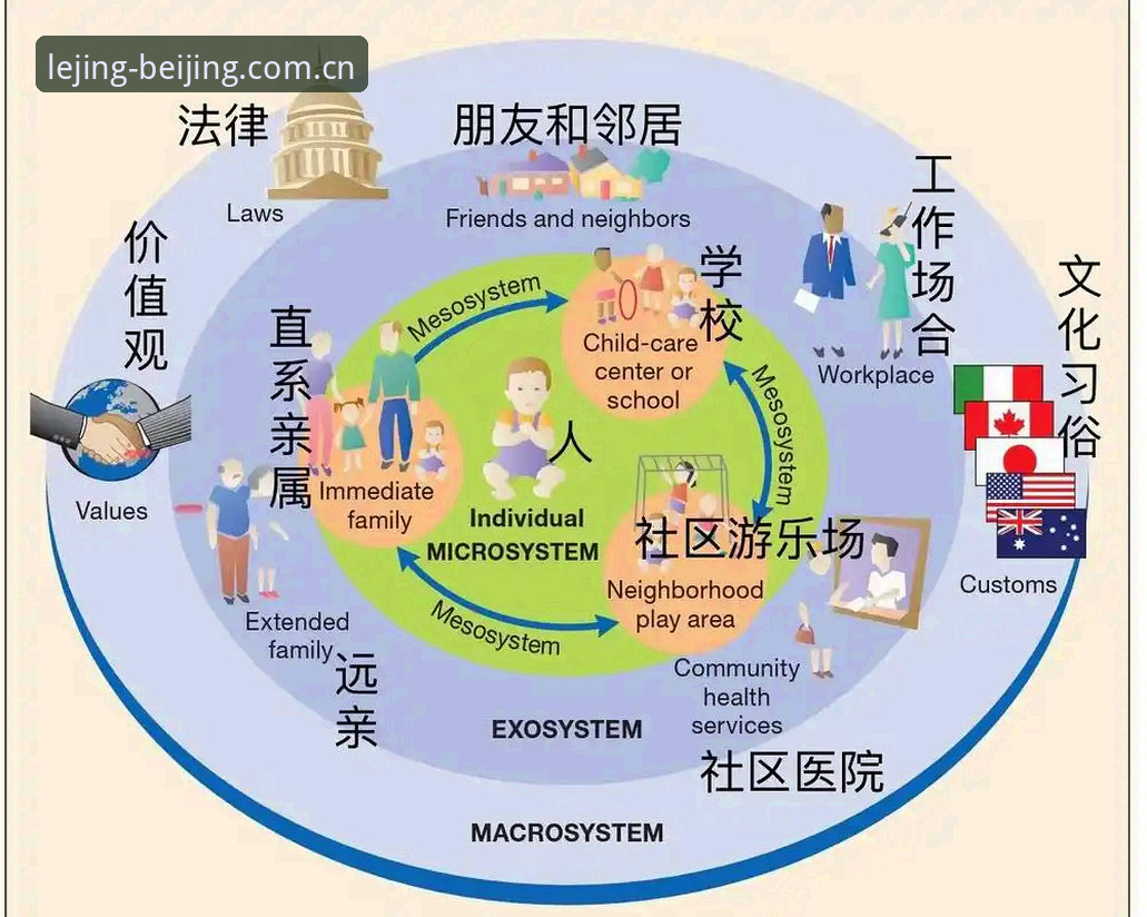 一个圈内人的共识是：移动端体育应用的更新，往往不在首页大图里，而在那些被折叠进二级菜单的功能入口。过去一个月，北京地区的篮球用户频繁讨论的所谓“坐标北京的全新入口”，也不是什么界面重绘，而是数据链路的一次下沉。